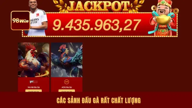 Các sảnh đấu gà rất chất lượng