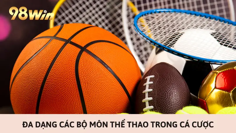 Đa dạng các bộ môn thể thao trong cá cược