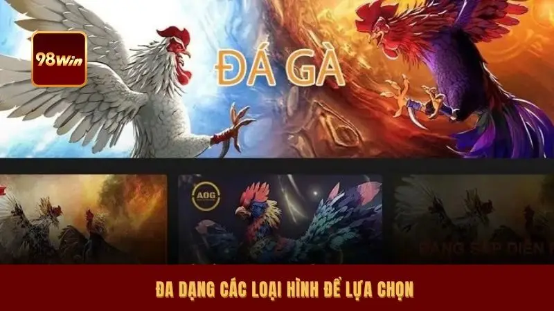 Đa dạng các loại hình để lựa chọn