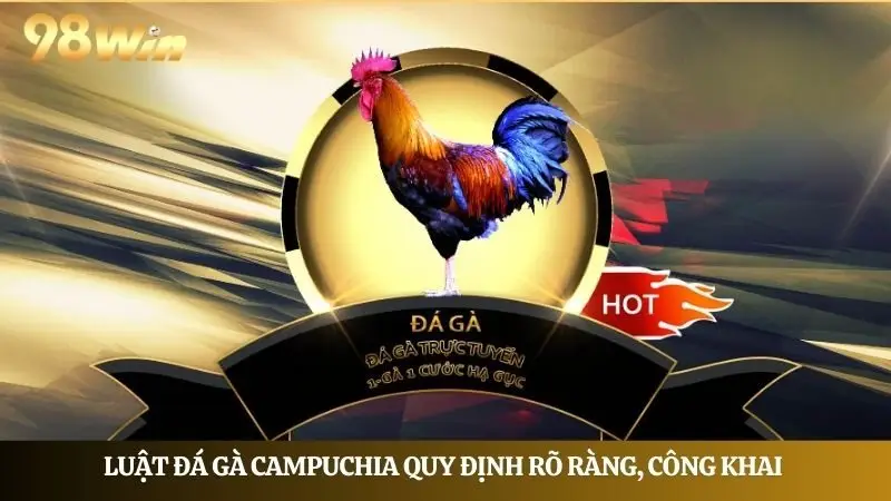 Luật đá gà tại Campuchia được quy định rất rõ ràng, công khai 