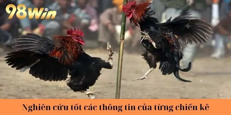 Nghiên cứu tốt các thông tin của từng chiến kê