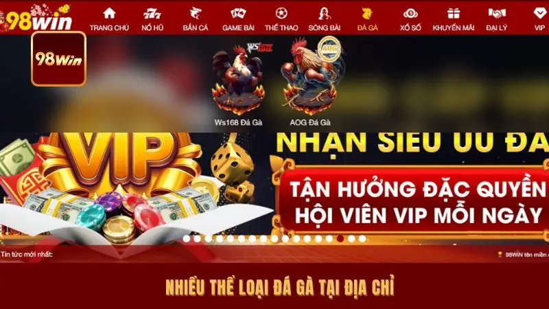 Nhiều thể loại đá gà tại địa chỉ 