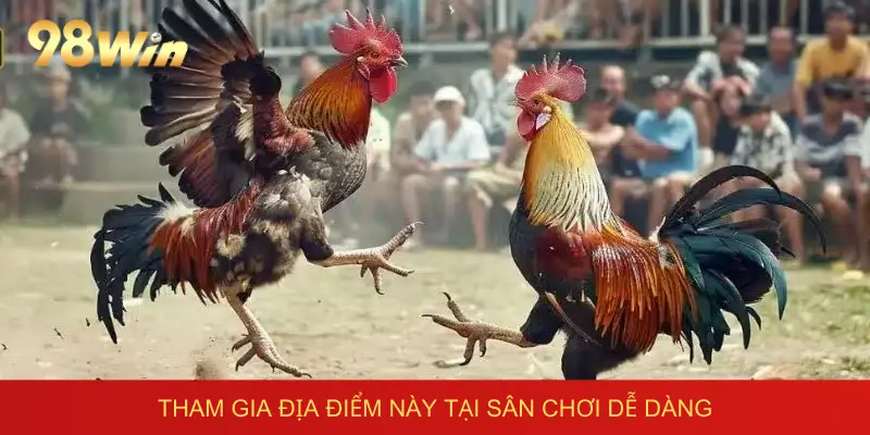 trường gà long an