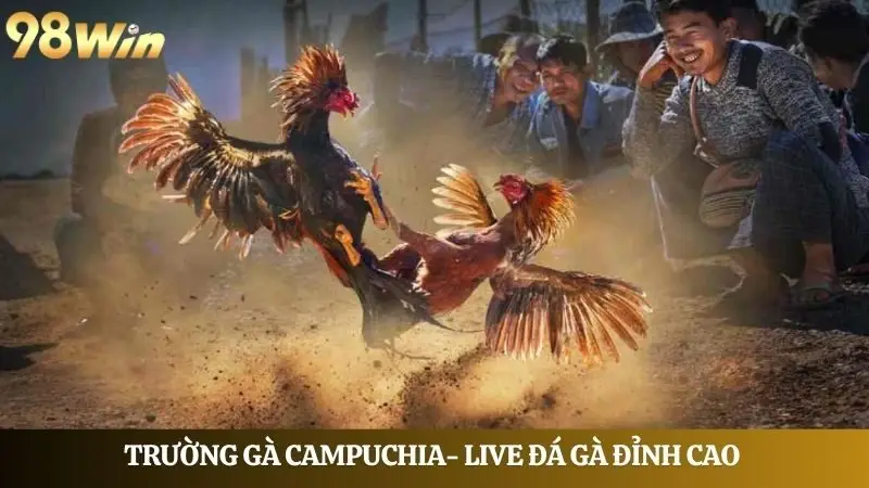 đá gà campuchia