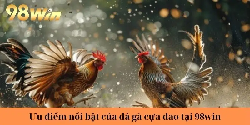 Ưu điểm nổi bật của đá gà cựa dao tại 98win
