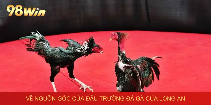 Những điểm nổi bật khi trải nghiệm tại 98win